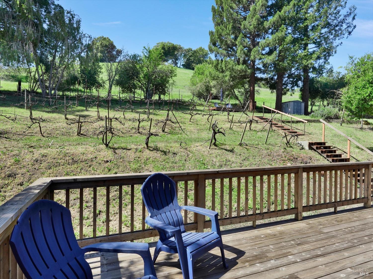 Detail Gallery Image 21 of 49 For 1135 Estates Dr, Napa,  CA 94558 - 4 Beds | 2/1 Baths
