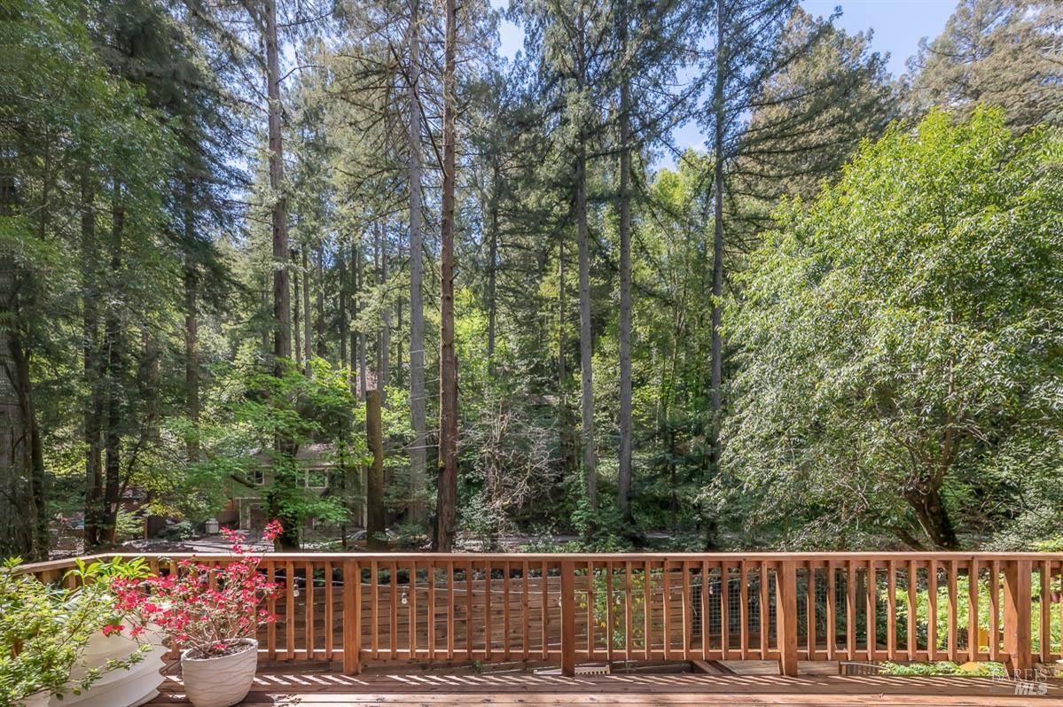 Detail Gallery Image 50 of 60 For 14550 Old Cazadero Rd, Guerneville,  CA 95446 - 3 Beds | 2 Baths