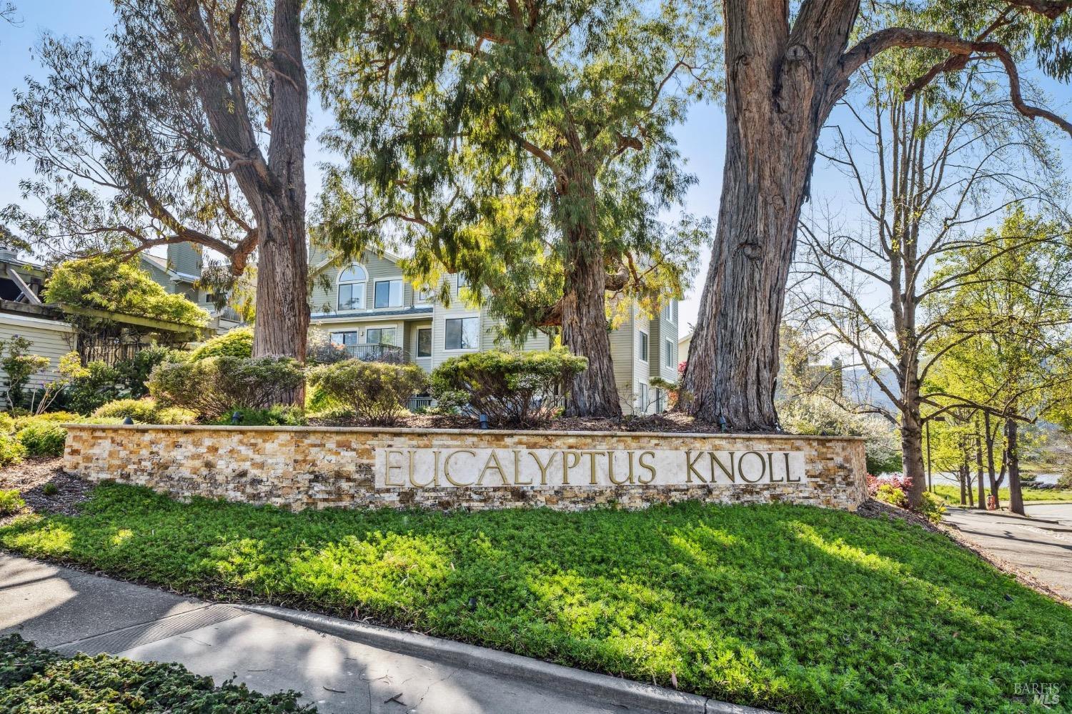 Photo of 111 Eucalyptus Knoll St in Mill Valley, CA