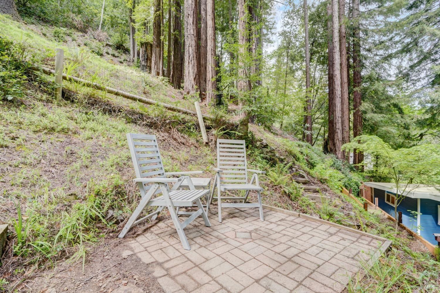 Detail Gallery Image 37 of 43 For 3035 Cazadero Hwy, Cazadero,  CA 95421 - 2 Beds | 1/1 Baths