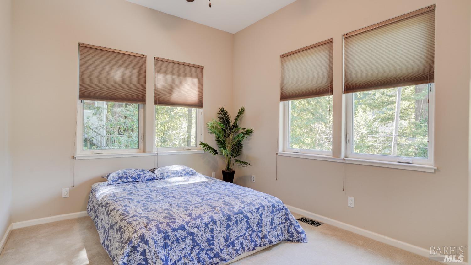 Detail Gallery Image 36 of 53 For 15047 Drake Rd, Guerneville,  CA 95446 - 3 Beds | 2/1 Baths