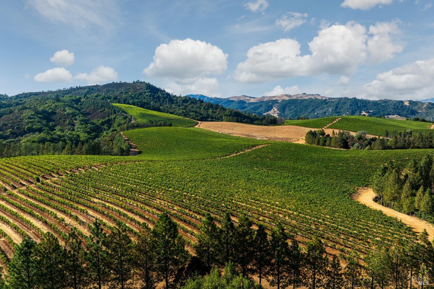 Starting at the foothills of the northwestern end of Dry Creek Valley and rising up to almost 1000 feet, sits the celebrated 250 acre Merlo Vineyard. Commanding unprecedented views over the entire Dry Creek Valley out to Mt. Saint Helena to the west and Lake Sonoma and Pritchett Peaks to the east and Lago di Merlo in the near distance to the south. With 55 acres of premium vines in Dry Creek Appellation professionally planted and maintained and another 7 acres prepped for planting, Merlo Vineyard represents a substantial purchase in one of California top appellation made even more special by the fact it is among the highest altitude vineyards within the appellation. The entire vineyard is irrigated by Petite Lago di Merlo which is 18 acre foot reservoir that sits on the border of the property wherein Merlo Vineyard has the exclusive diversion rights. The grapes are sold to Duckhorn, Benzinger and Christopher Creek. Merlo Vineyard is much more than just a vineyard. In addition to the vine land there is almost another 200 acres of unspoiled land and 4 Legal Parcels/Certificates of Compliance the potential for development are endless. There are multiple stunning building sites with giant vistas and water resources to support the same. There is also a substantial redwood/fir stand.