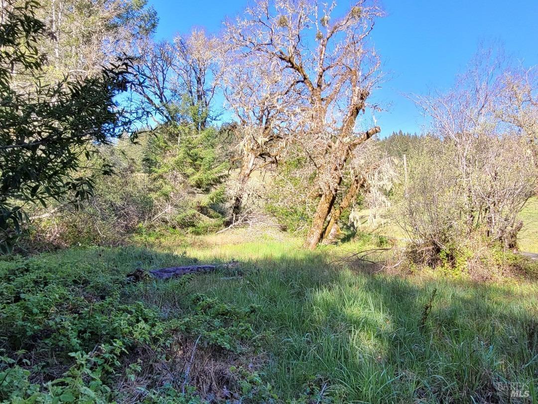 Photo of 0 Muir Mill Rd in Willits, CA