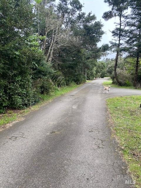 E. Kirtlan Way, Fort Bragg, California image 2