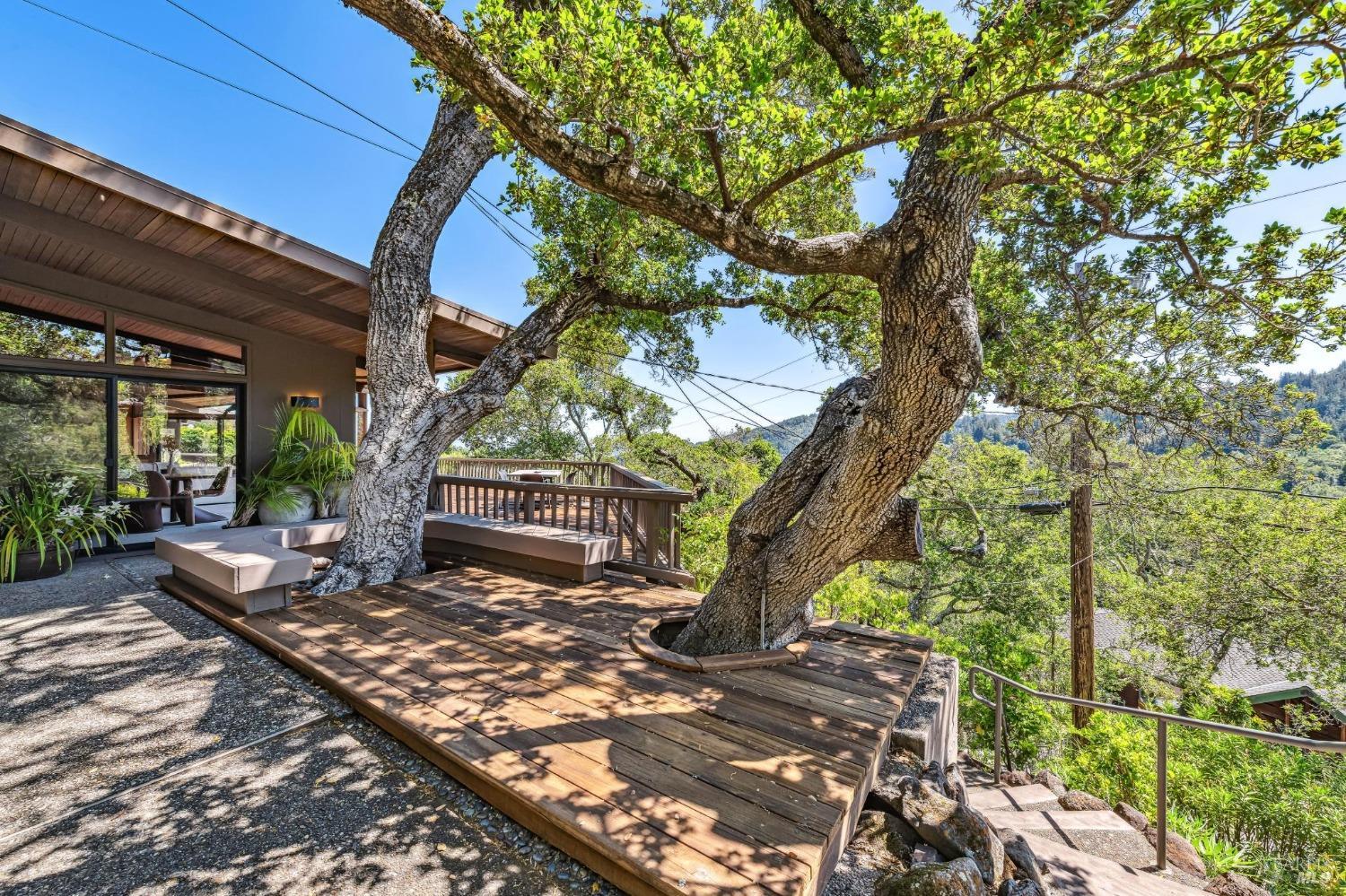 Detail Gallery Image 56 of 70 For 25 Rock Rd, Kentfield,  CA 94904 - 4 Beds | 2/1 Baths