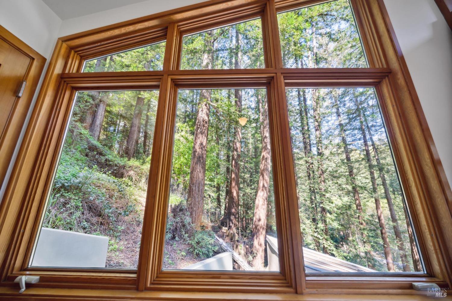 Detail Gallery Image 45 of 69 For 95 Cascade Dr, Mill Valley,  CA 94941 - 5 Beds | 4/1 Baths