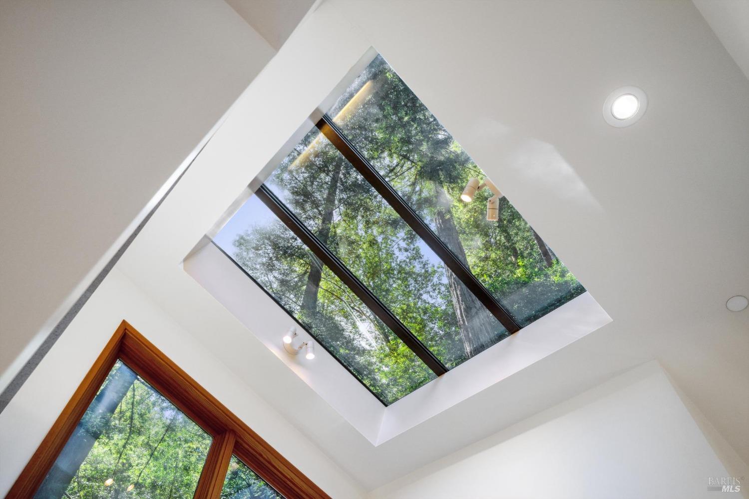 Detail Gallery Image 33 of 69 For 95 Cascade Dr, Mill Valley,  CA 94941 - 5 Beds | 4/1 Baths