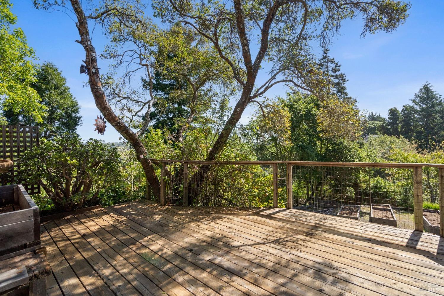 Detail Gallery Image 55 of 58 For 75 Morningsun Ave, Mill Valley,  CA 94941 - 4 Beds | 4 Baths