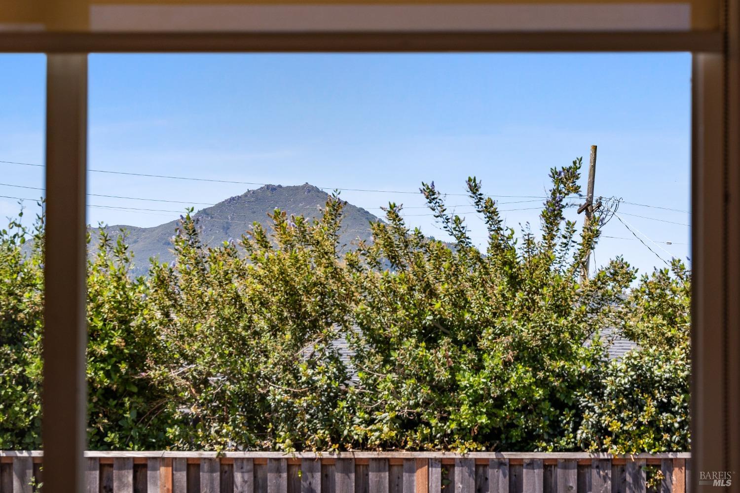 Detail Gallery Image 20 of 58 For 2 Tamal Vista Blvd, Corte Madera,  CA 94925 - 3 Beds | 2/1 Baths