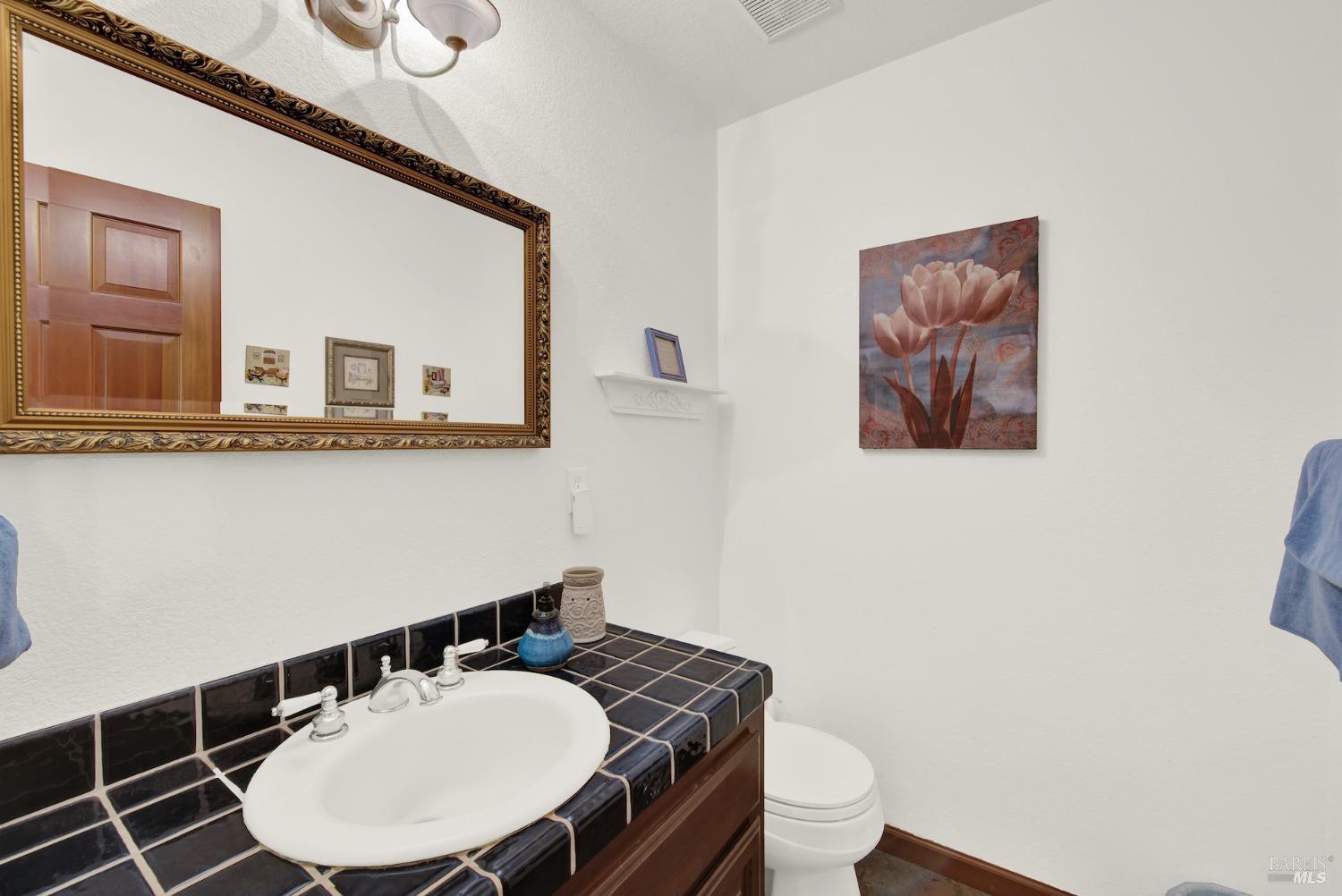 Detail Gallery Image 36 of 99 For 5202 Winding Way, Vacaville,  CA 95688 - 3 Beds | 2/1 Baths