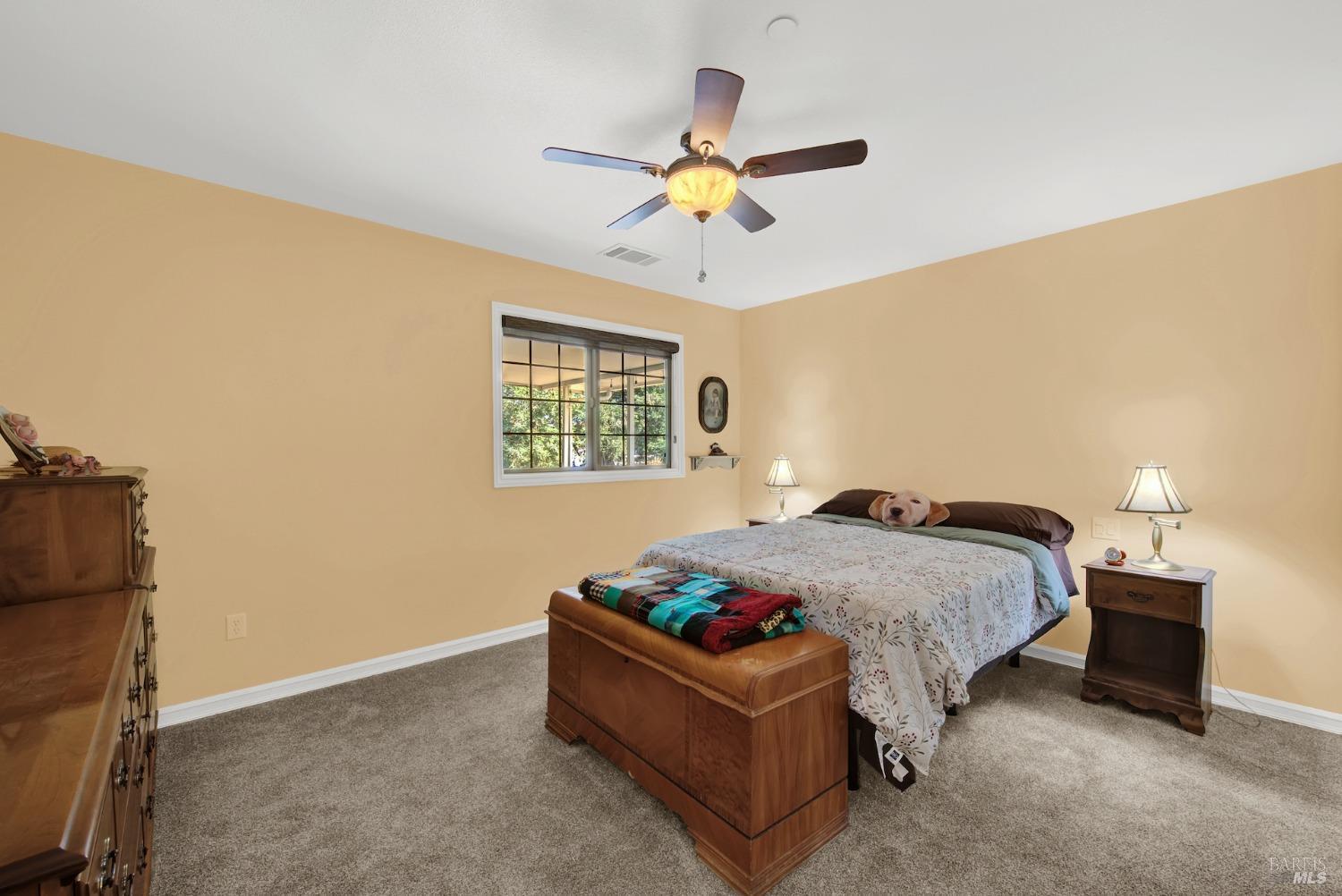 Detail Gallery Image 57 of 99 For 5202 Winding Way, Vacaville,  CA 95688 - 3 Beds | 2/1 Baths