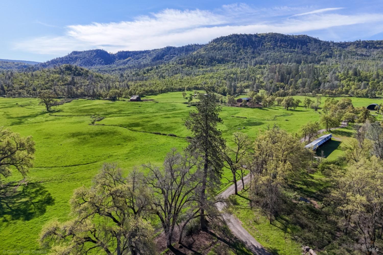 Photo of 9568 Blue Mountain Ranch Rd in Whitmore, CA