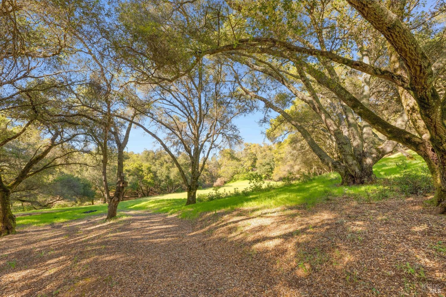 Detail Gallery Image 74 of 84 For 2100 Ridge Oaks Rd, Geyserville,  CA 95441 - 4 Beds | 3/2 Baths