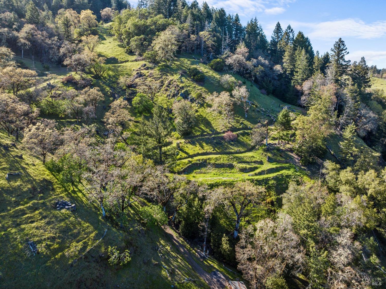 Detail Gallery Image 32 of 36 For 16300 Black Bart Dr, Willits,  CA 95490 - 2 Beds | 1 Baths