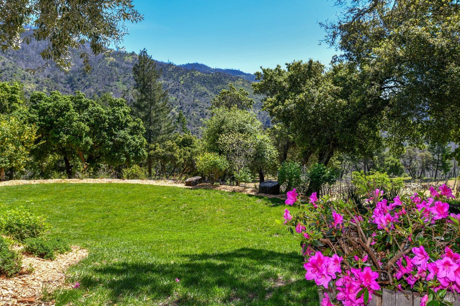 Detail Gallery Image 45 of 77 For 386 Dutch Henry Canyon Rd, Calistoga,  CA 94515 - 3 Beds | 2/1 Baths