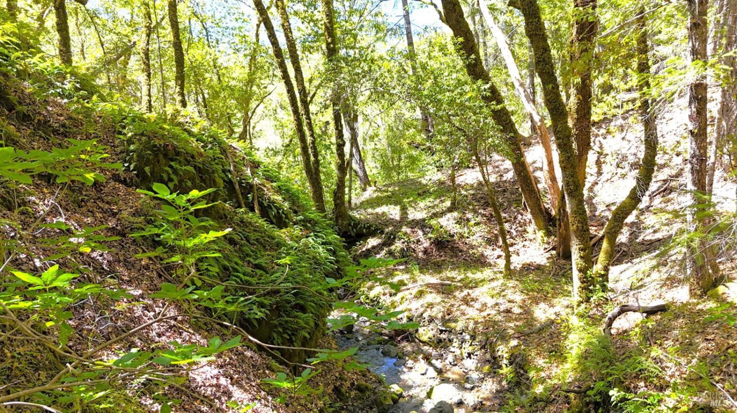 Detail Gallery Image 37 of 58 For 20111 Old Cazadero Rd, Guerneville,  CA 95421 - 18 Beds | 15/9 Baths