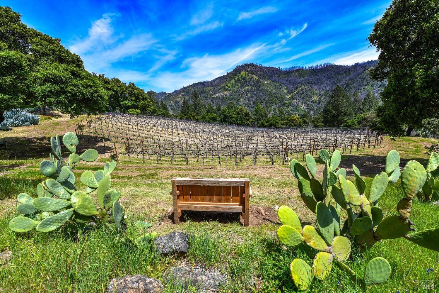 Detail Gallery Image 58 of 77 For 386 Dutch Henry Canyon Rd, Calistoga,  CA 94515 - 3 Beds | 2/1 Baths