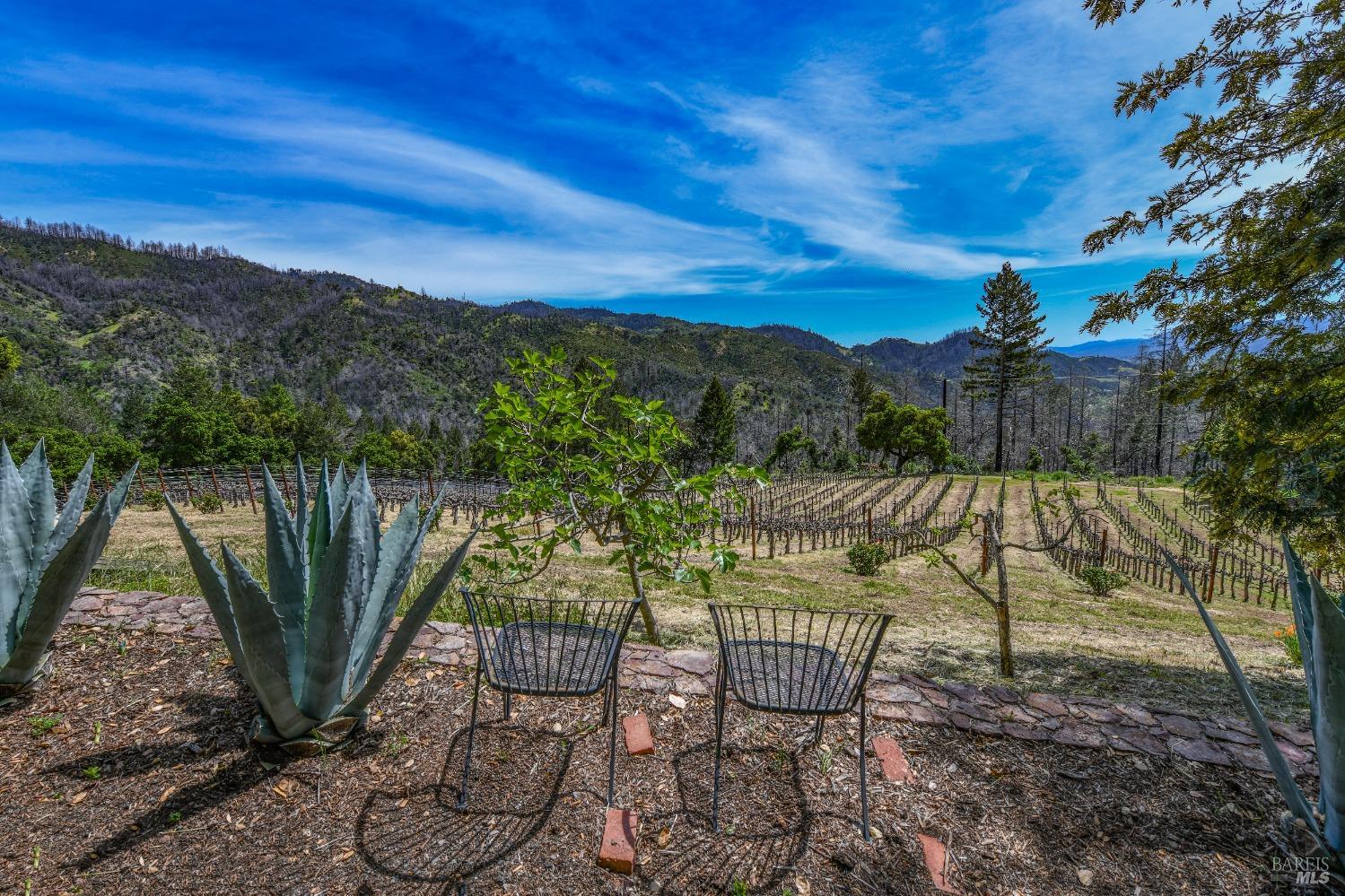 Detail Gallery Image 72 of 77 For 386 Dutch Henry Canyon Rd, Calistoga,  CA 94515 - 3 Beds | 2/1 Baths