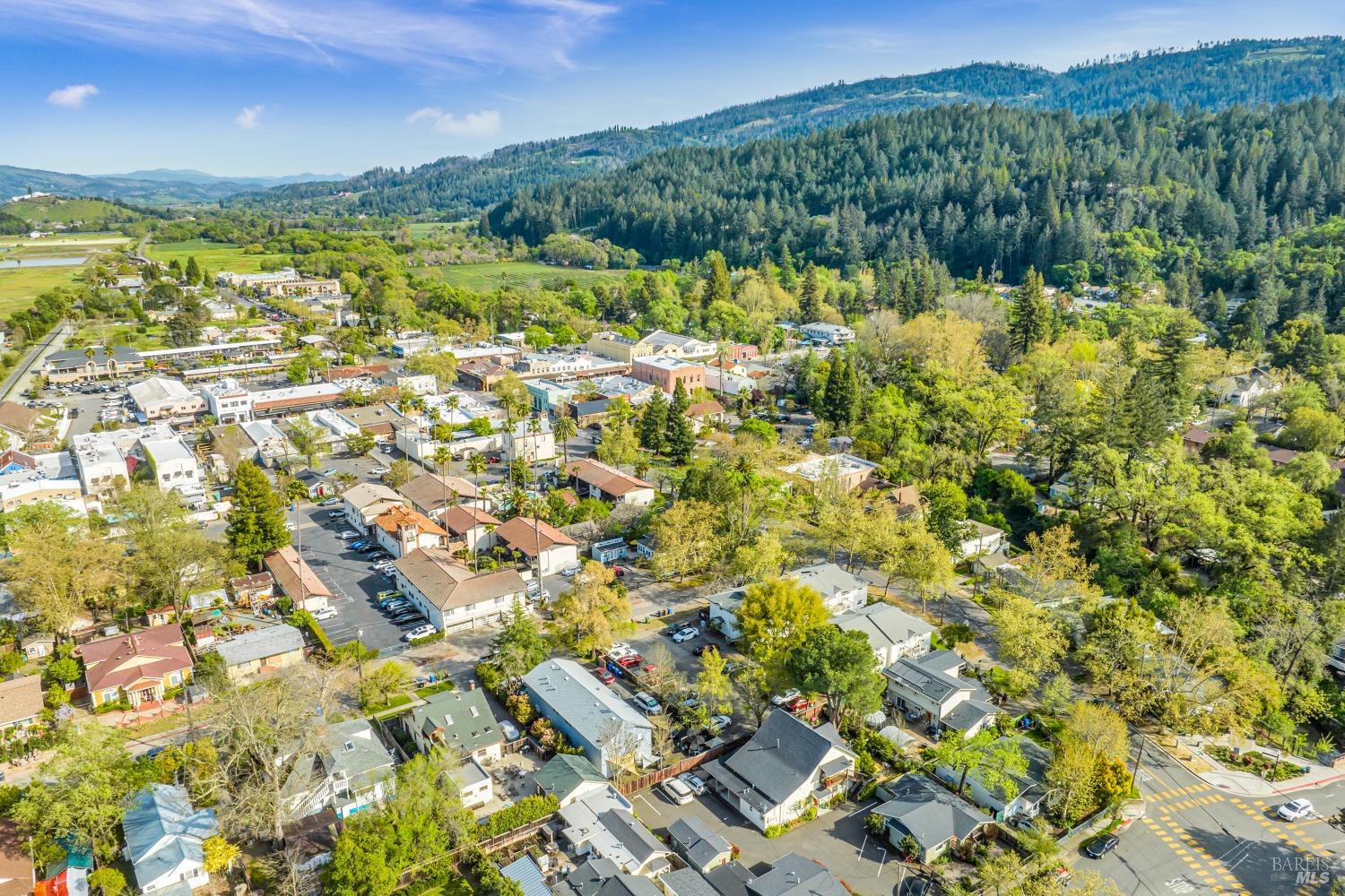 Detail Gallery Image 9 of 10 For 1413 2nd St, Calistoga,  CA 94515 - – Beds | – Baths