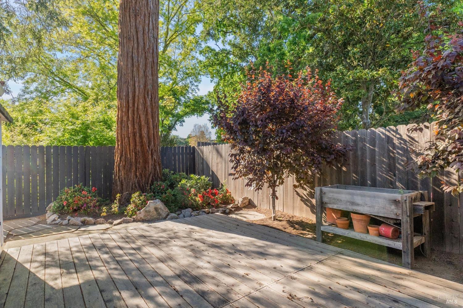 Detail Gallery Image 51 of 74 For 402 E Macarthur St, Sonoma,  CA 95476 - 3 Beds | 2 Baths