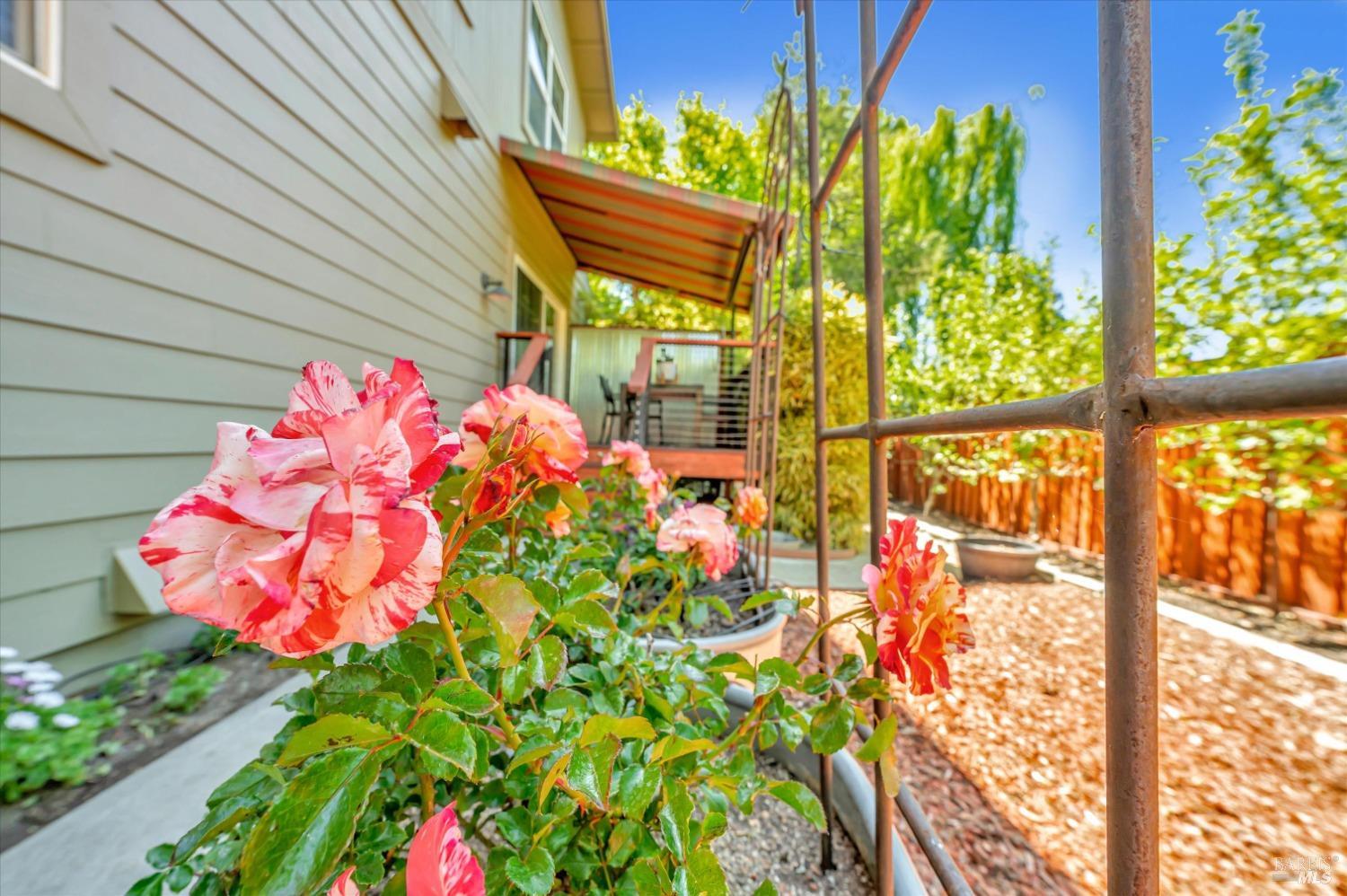 Detail Gallery Image 30 of 36 For 2730 Brush St, Graton,  CA 95444 - 4 Beds | 2/1 Baths