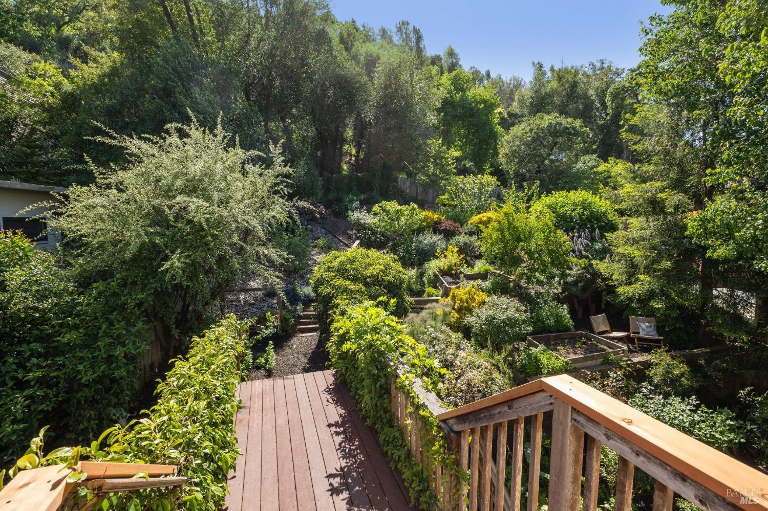 Detail Gallery Image 21 of 59 For 134 Laurel Ave, San Anselmo,  CA 94960 - 4 Beds | 2/1 Baths