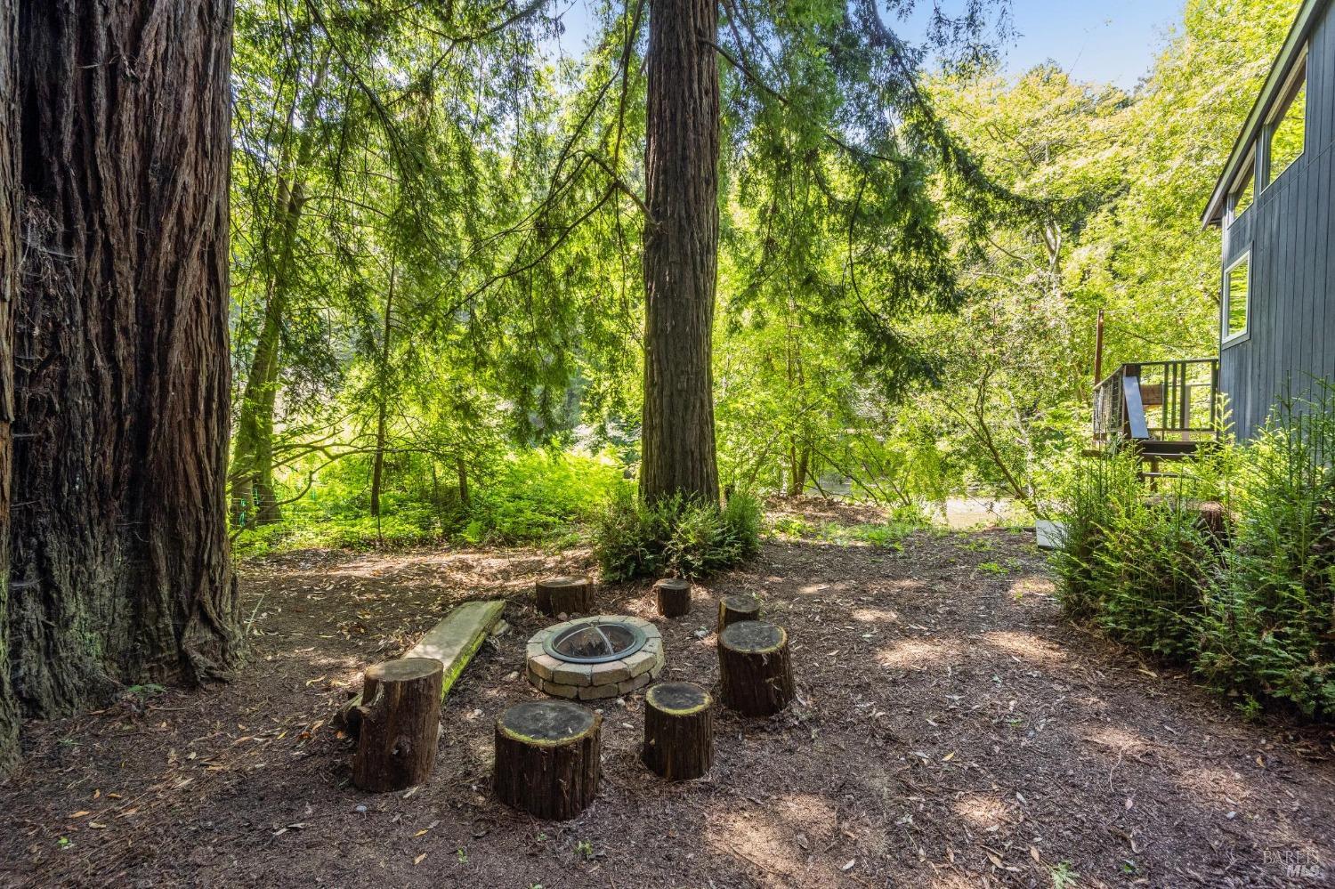 Detail Gallery Image 41 of 46 For 925 Austin Creek Rd, Cazadero,  CA 95421 - 2 Beds | 1/1 Baths