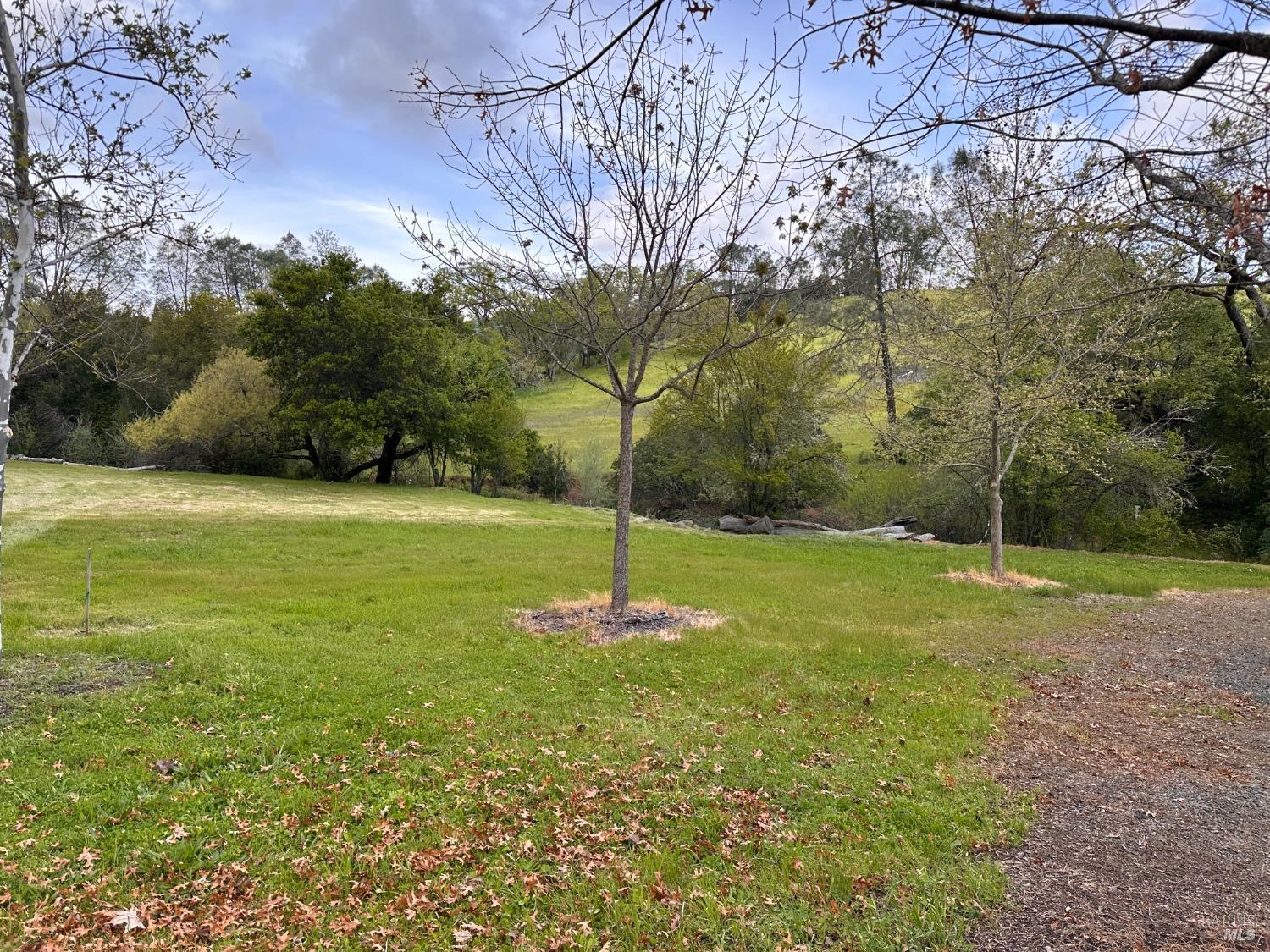 Detail Gallery Image 20 of 61 For 3093 Old Lawley Toll Rd, Calistoga,  CA 94515 - 4 Beds | 4 Baths