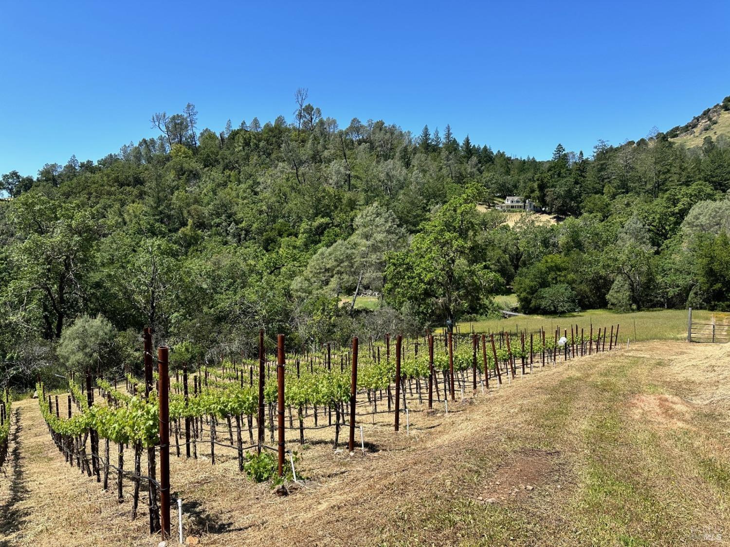 Detail Gallery Image 53 of 61 For 3093 Old Lawley Toll Rd, Calistoga,  CA 94515 - 4 Beds | 4 Baths