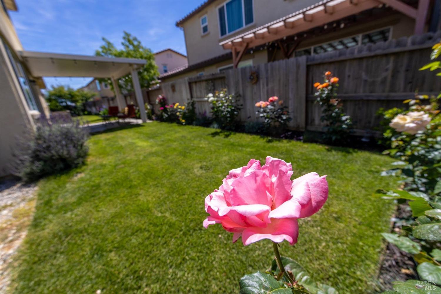Detail Gallery Image 43 of 53 For 1000 Wisteria Ct, Vacaville,  CA 95687 - 3 Beds | 2/1 Baths