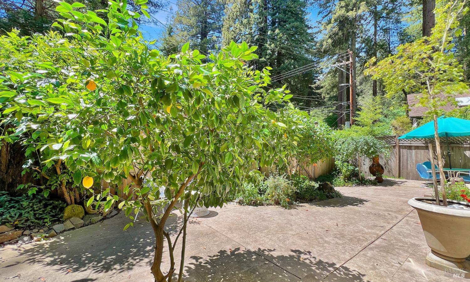 Detail Gallery Image 51 of 81 For 14847 Old Cazadero Rd, Guerneville,  CA 95446 - 3 Beds | 2 Baths