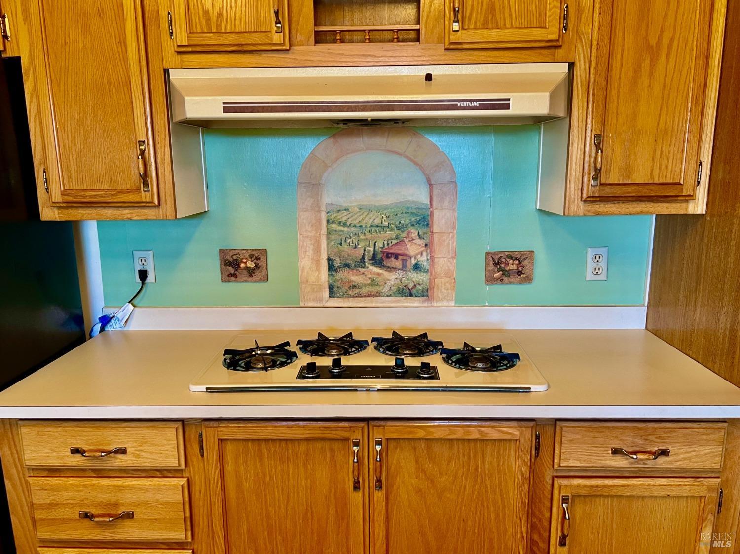 Detail Gallery Image 19 of 48 For 8330 Blue Spruce Way, Windsor,  CA 95492 - 3 Beds | 2 Baths
