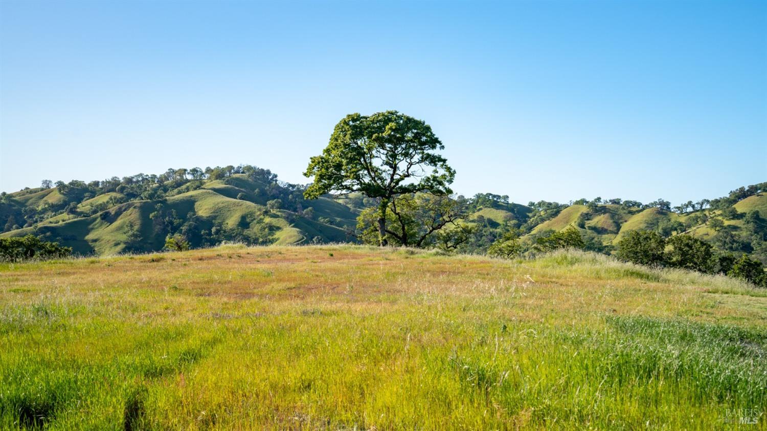 Detail Gallery Image 30 of 34 For 11250 Stewarts Point Skaggs Springs Rd, Healdsburg,  CA 95448 - – Beds | – Baths