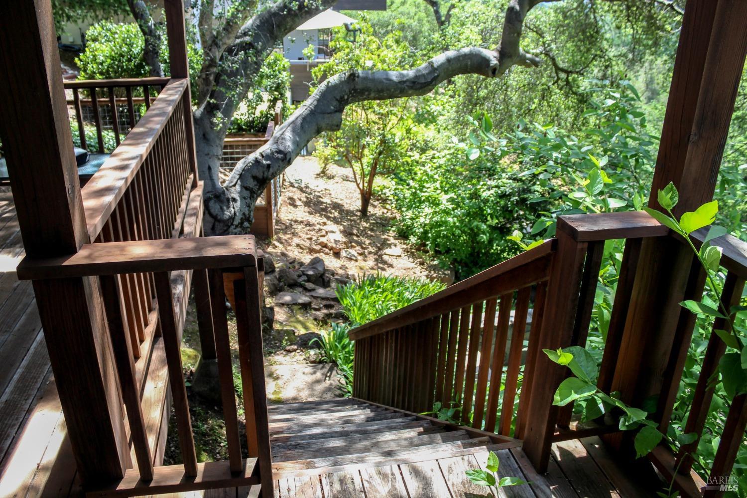 Detail Gallery Image 42 of 55 For 157 Knoll Pl, Saint Helena,  CA 94574 - 5 Beds | 4/1 Baths