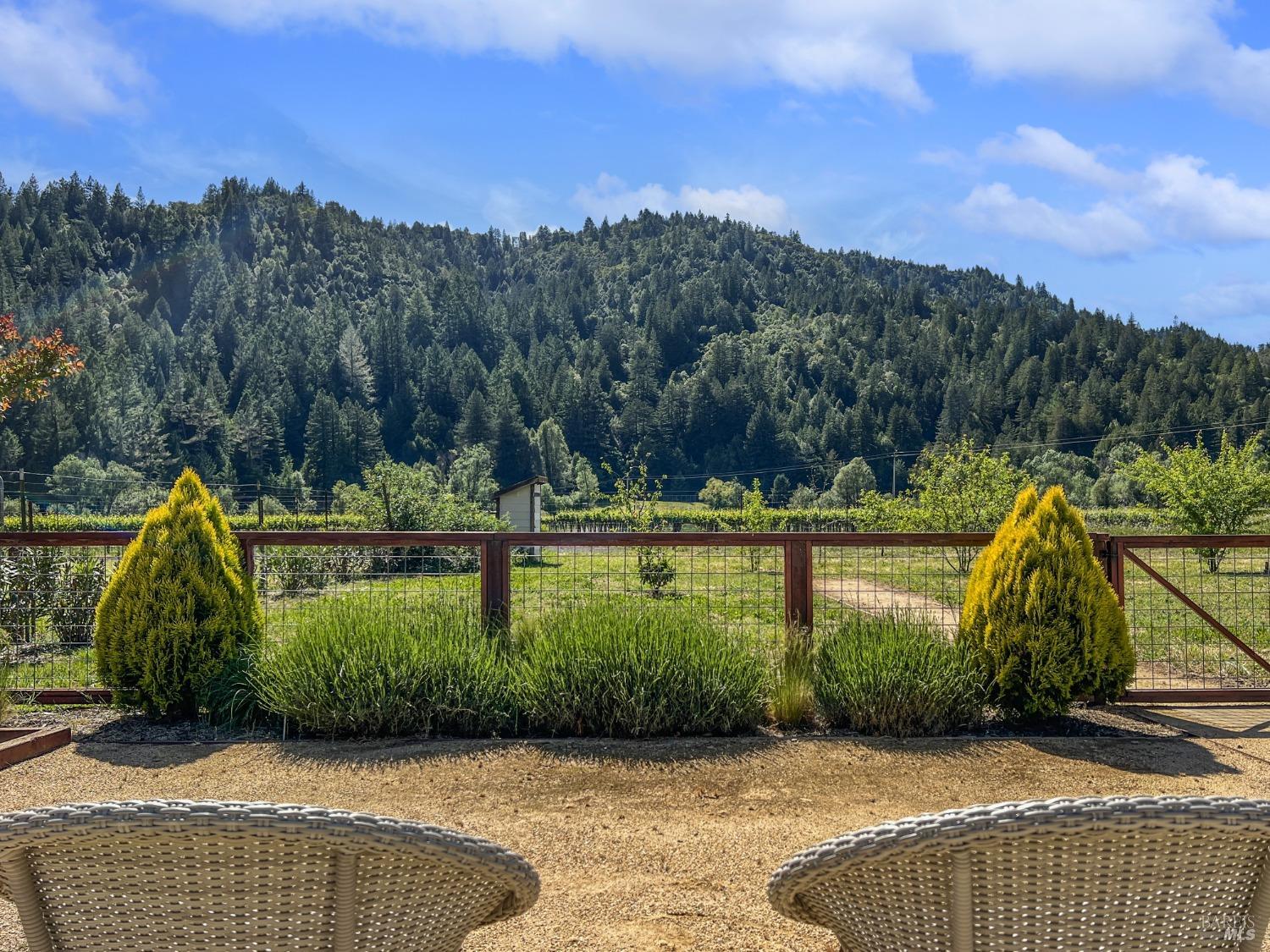 Detail Gallery Image 36 of 58 For 16554 Laughlin Rd, Guerneville,  CA 95446 - 3 Beds | 2 Baths