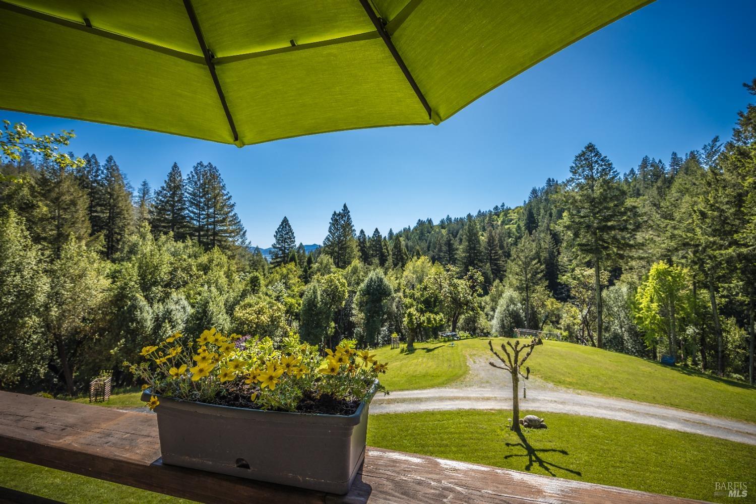 Detail Gallery Image 7 of 72 For 625 Tzabaco Creek Rd, Geyserville,  CA 95441 - 2 Beds | 2 Baths