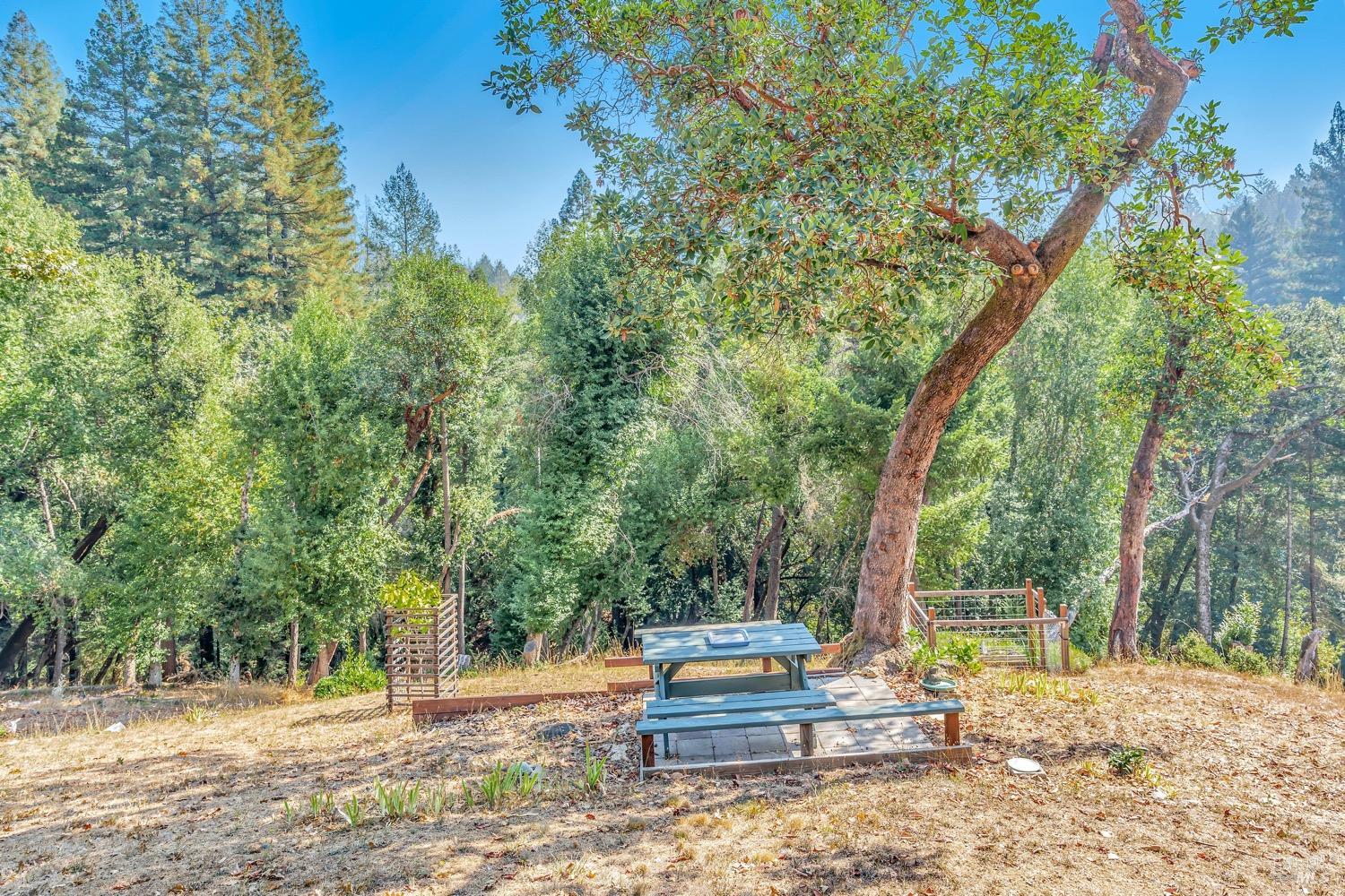 Detail Gallery Image 65 of 72 For 625 Tzabaco Creek Rd, Geyserville,  CA 95441 - 2 Beds | 2 Baths