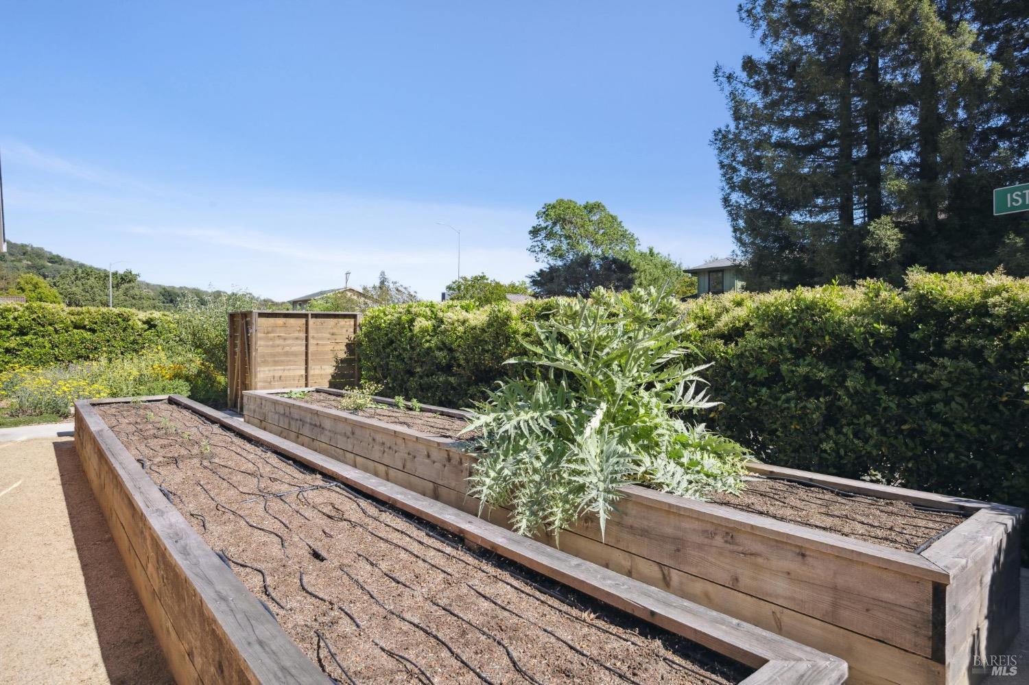 Detail Gallery Image 58 of 76 For 775 Istvan Rd, Sonoma,  CA 95476 - 3 Beds | 2 Baths