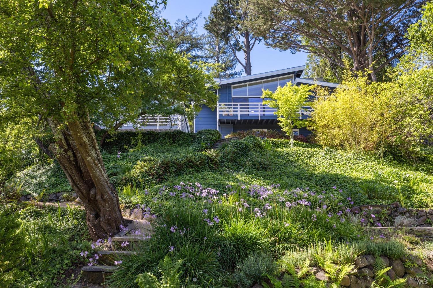 Detail Gallery Image 77 of 88 For 419 Marin Ave, Mill Valley,  CA 94941 - 6 Beds | 4/2 Baths