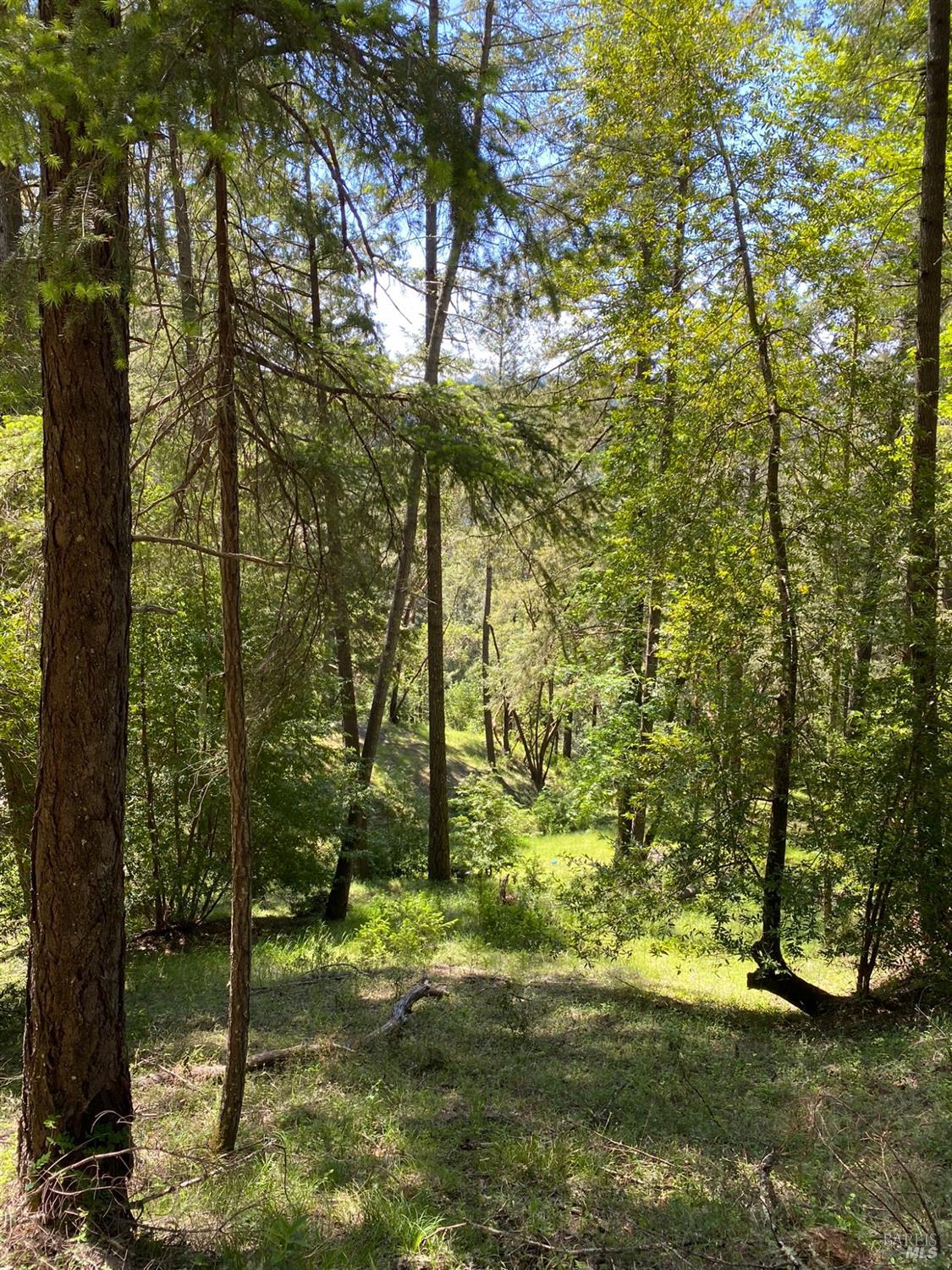 Detail Gallery Image 9 of 19 For 19800 Old Cazadero Rd, Guerneville,  CA 95421 - – Beds | – Baths