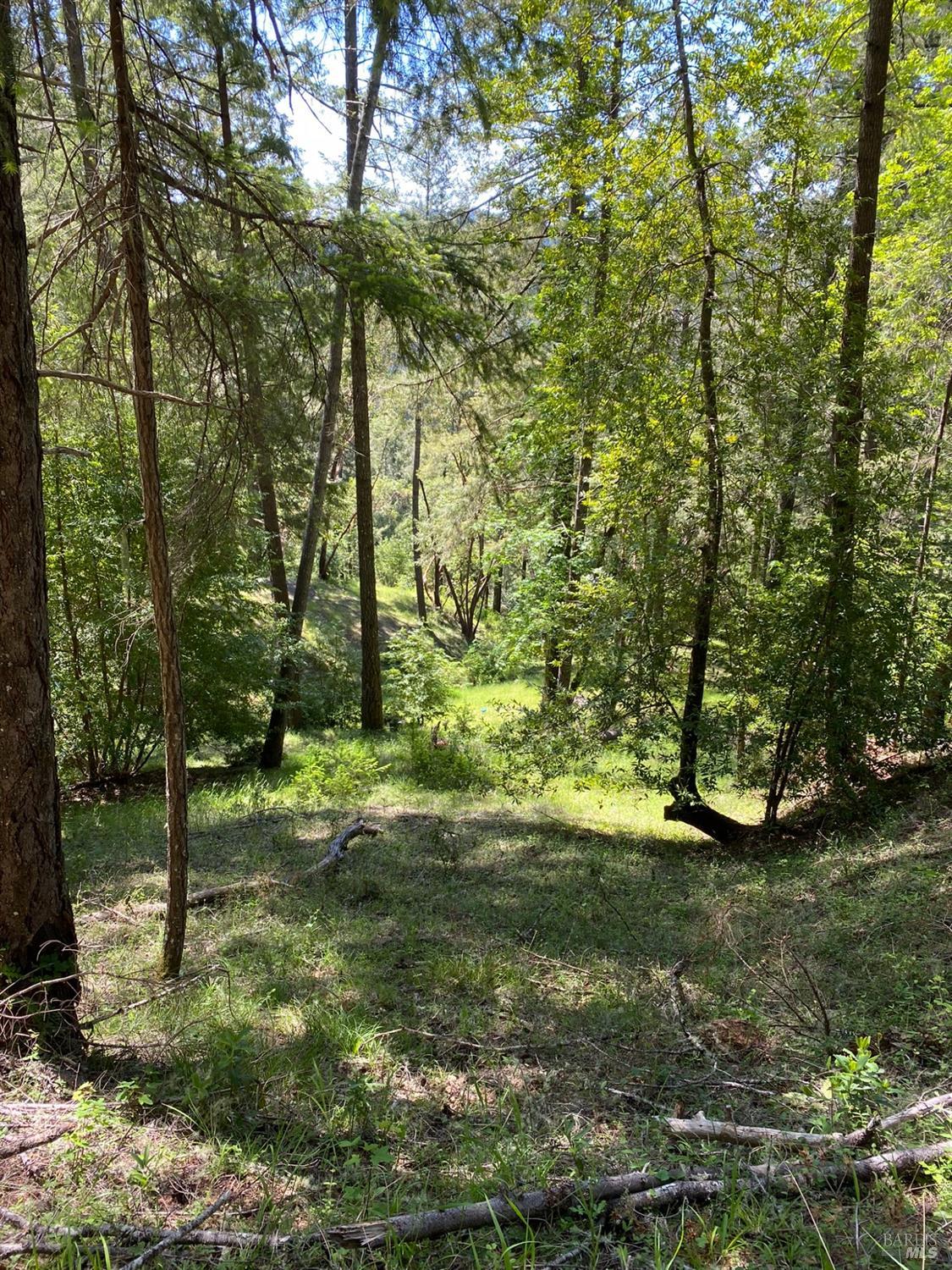 Detail Gallery Image 10 of 19 For 19800 Old Cazadero Rd, Guerneville,  CA 95421 - – Beds | – Baths