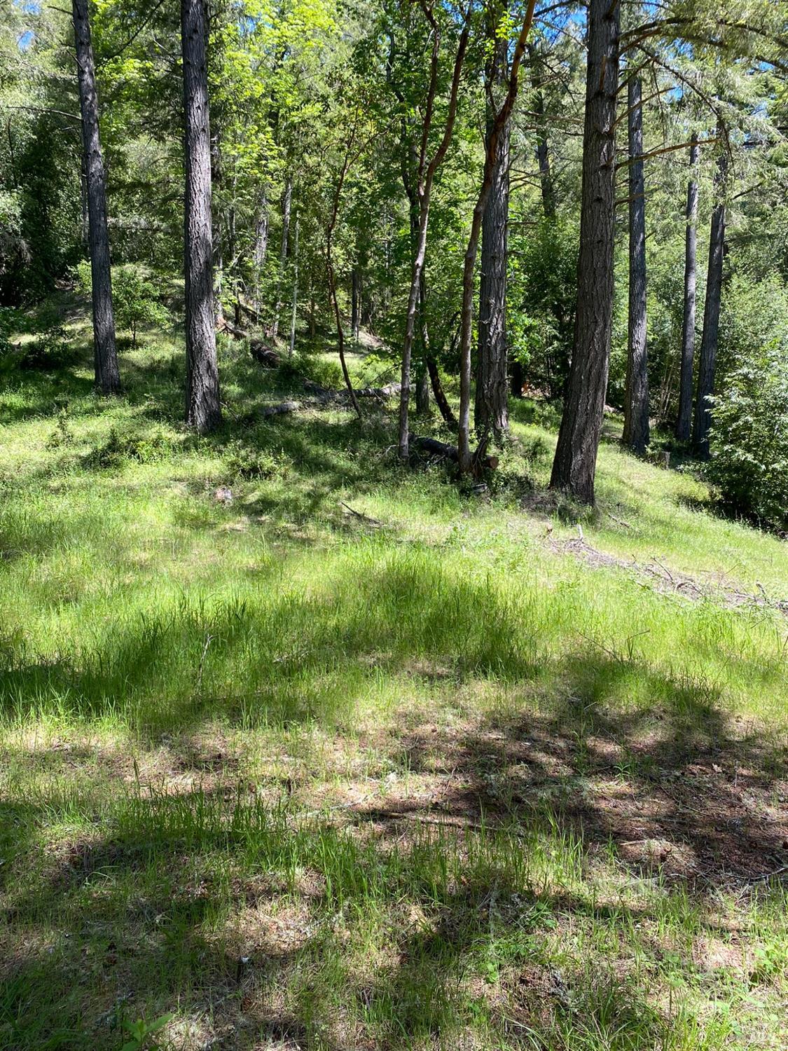 Detail Gallery Image 18 of 19 For 19800 Old Cazadero Rd, Guerneville,  CA 95421 - – Beds | – Baths