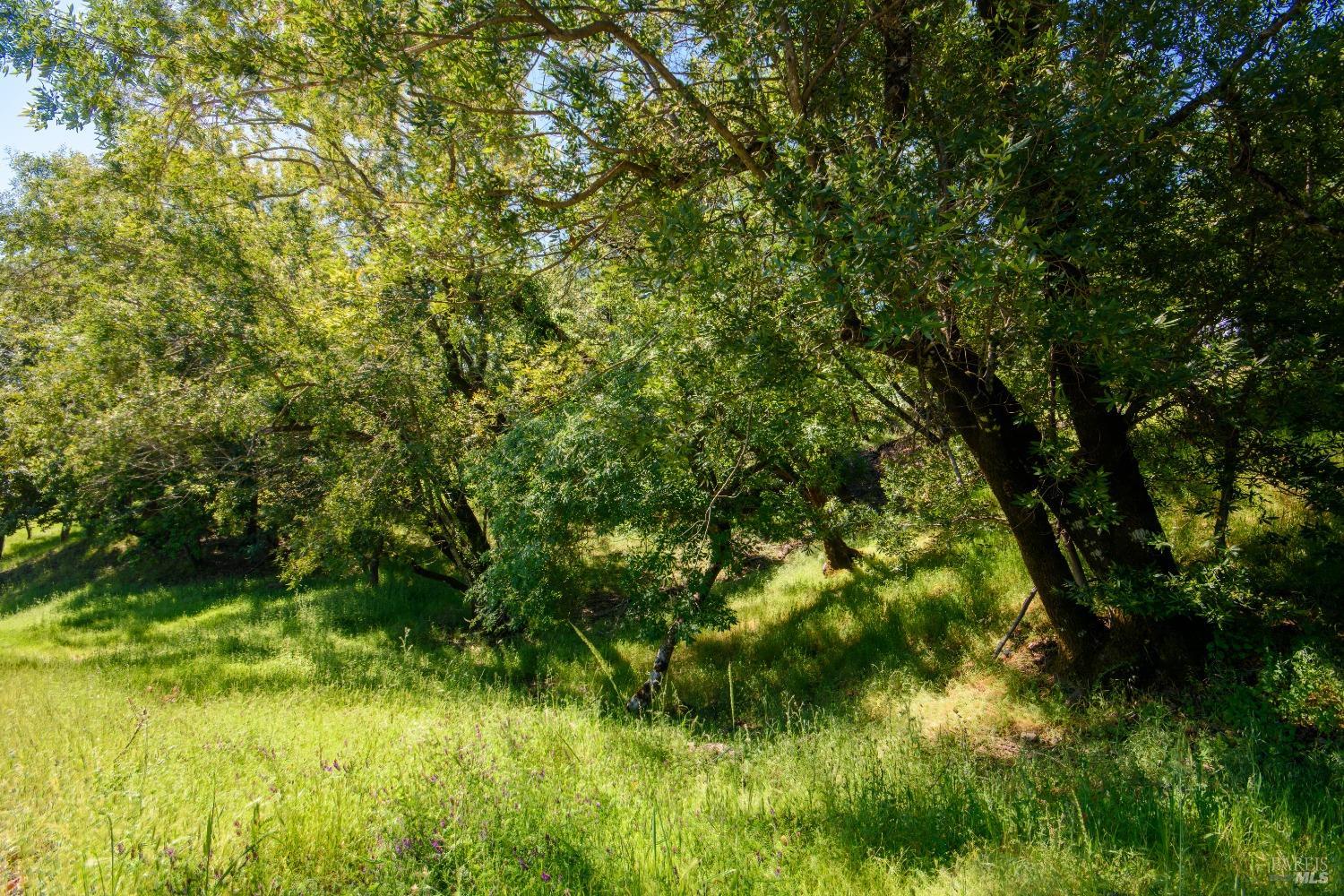 Detail Gallery Image 3 of 11 For 0 Sunnyhill Ln, Napa,  CA 94558 - – Beds | – Baths