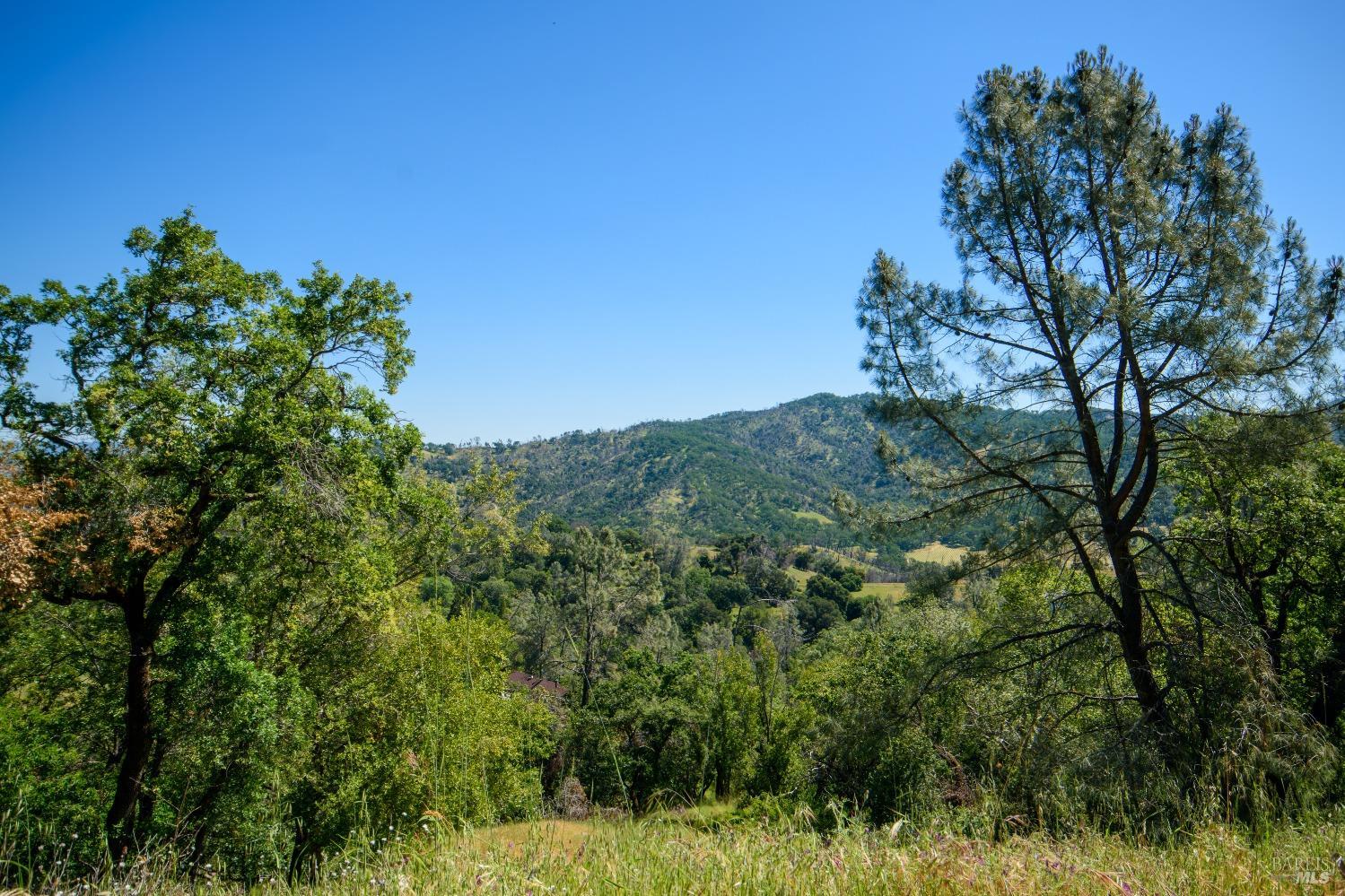 Detail Gallery Image 8 of 11 For 0 Sunnyhill Ln, Napa,  CA 94558 - – Beds | – Baths