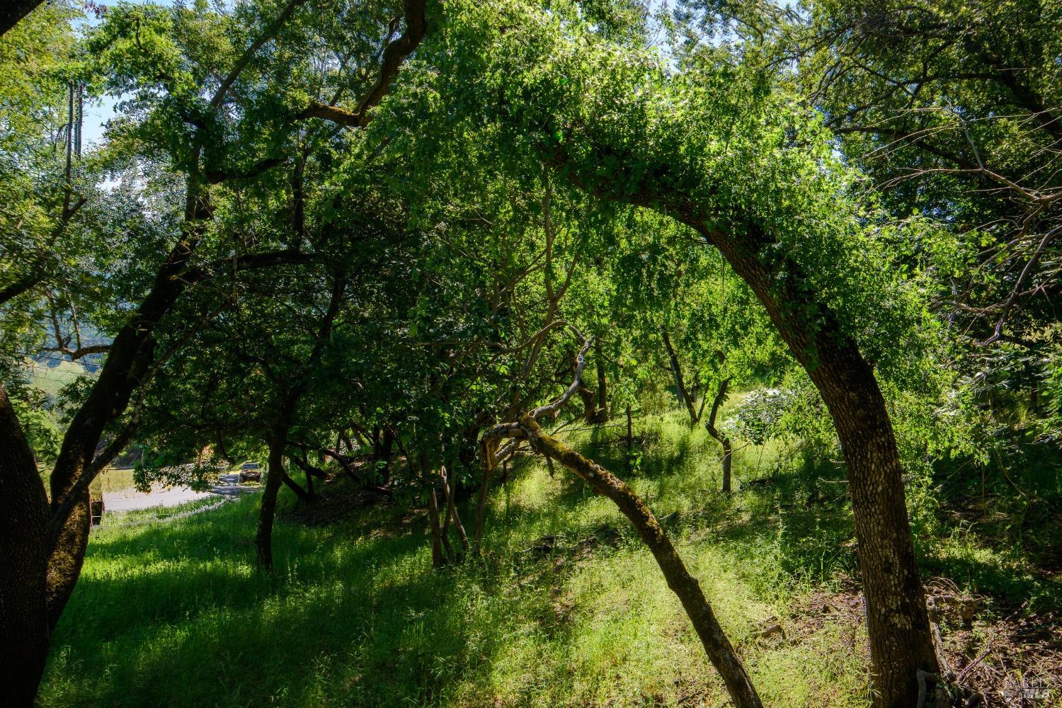 Detail Gallery Image 7 of 11 For 0 Sunnyhill Ln, Napa,  CA 94558 - – Beds | – Baths