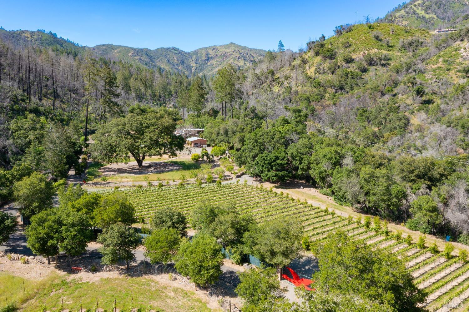 Detail Gallery Image 35 of 45 For 321 Dutch Henry Canyon Rd, Calistoga,  CA 94515 - 2 Beds | 2 Baths