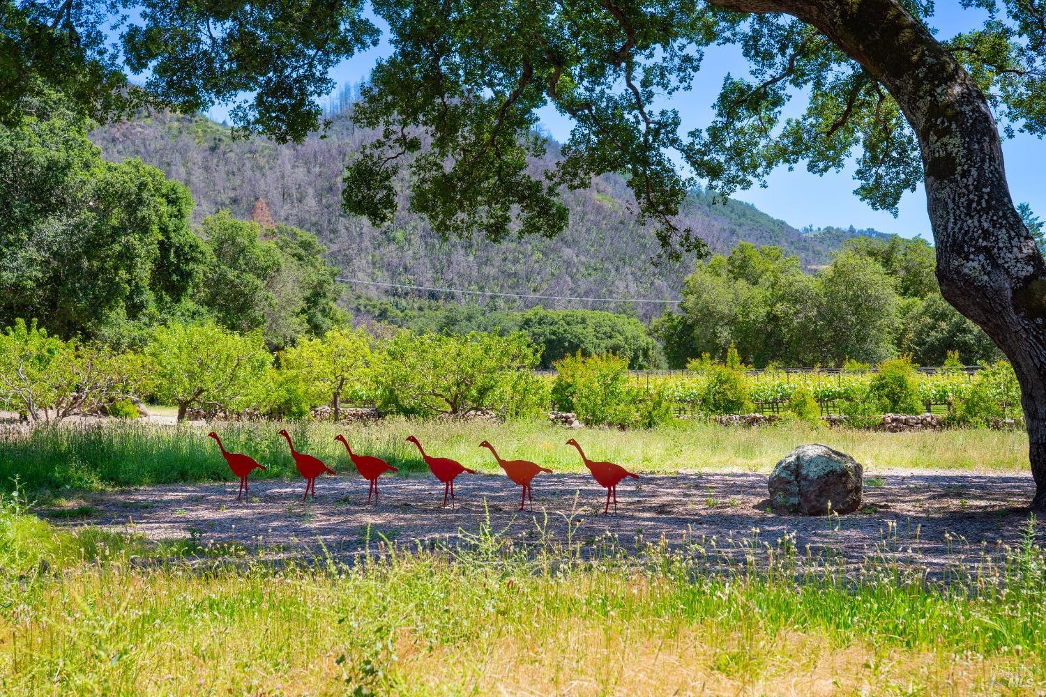 Detail Gallery Image 38 of 45 For 321 Dutch Henry Canyon Rd, Calistoga,  CA 94515 - 2 Beds | 2 Baths