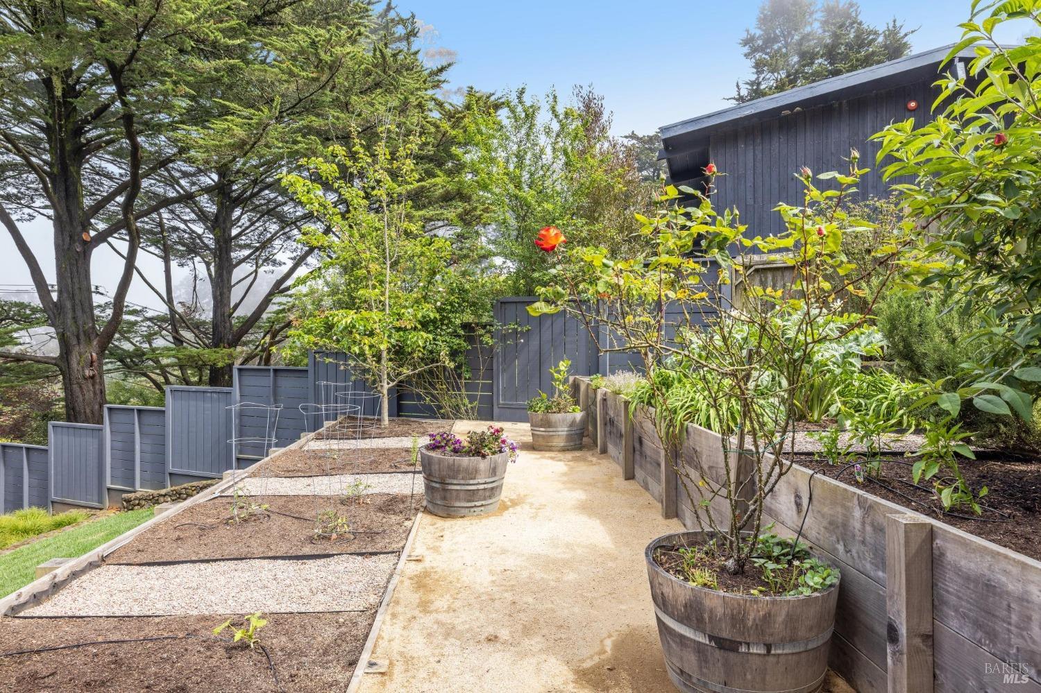 Detail Gallery Image 65 of 74 For 3 Ridge Ave, Mill Valley,  CA 94941 - 4 Beds | 3/1 Baths