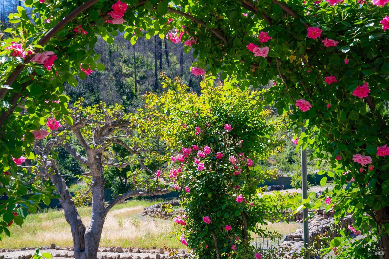 Detail Gallery Image 42 of 45 For 321 Dutch Henry Canyon Rd, Calistoga,  CA 94515 - 2 Beds | 2 Baths