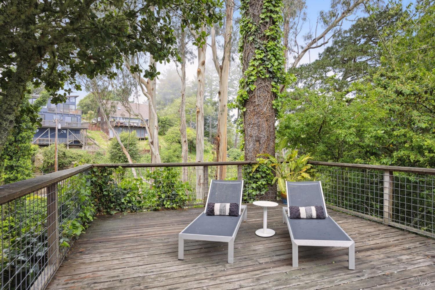 Detail Gallery Image 50 of 73 For 19 Monte Cimas Ave, Mill Valley,  CA 94941 - 2 Beds | 1 Baths